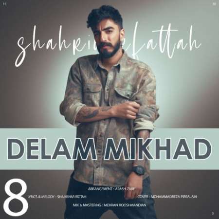 Shahriyar Fattah – Delam Mikhad